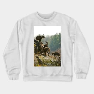 Ibex Crewneck Sweatshirt